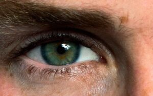 yeşil erkek gözü