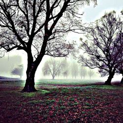 Rüyada makam odası görmek - Âlem-i Menâm